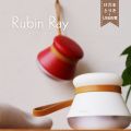 Ӷ̼ Rubin ӥ 쥤