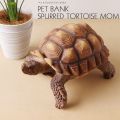 PET BANK SPURRED TORTOISE MOM ťꥯ