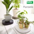 tidy Plantable ץ󥿥֥