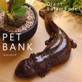 PET BANK GIANT SALAMANDER 󥷥祦