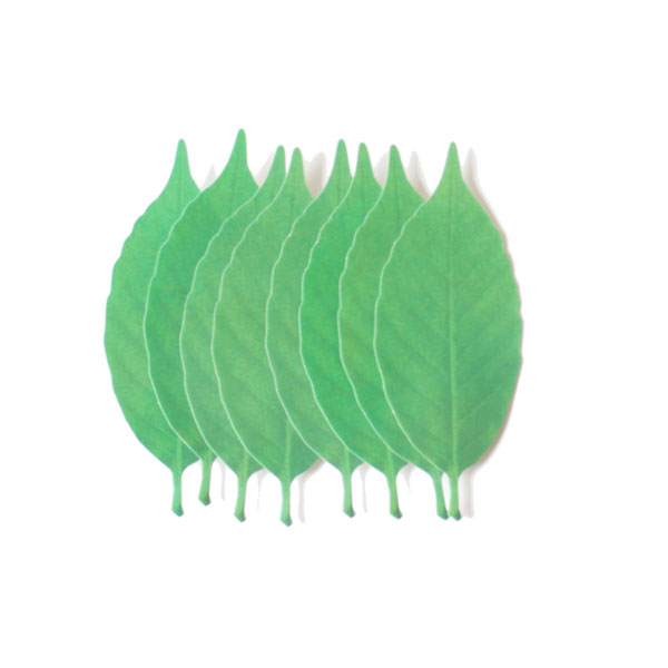 インテリア雑貨/アッシュコンセプト Leaf リーフ