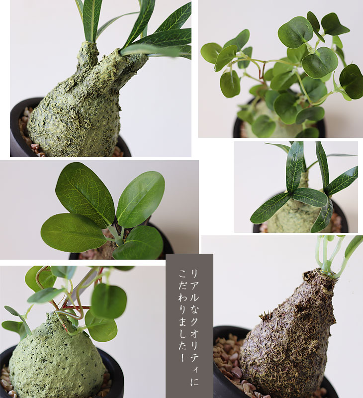 グローバル(GLOBAL)包丁/GLOBAL GS-5 菜切り 14cm グローバル(GLOBAL)包丁/GLOBAL GS-5 菜切り 14cm
