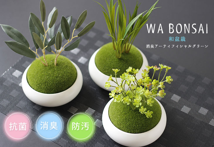 インテリアグリーン Ct触媒 和盆栽 消臭アーティフィシャルグリーン フェイクグリーン Wa Bonsai 苔